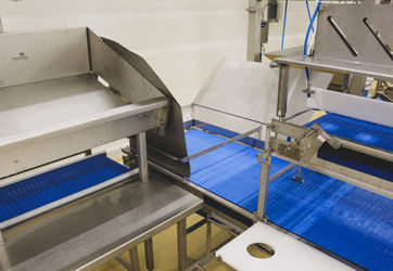 Linie procesare carne pui - Conveioare industria alimentara 