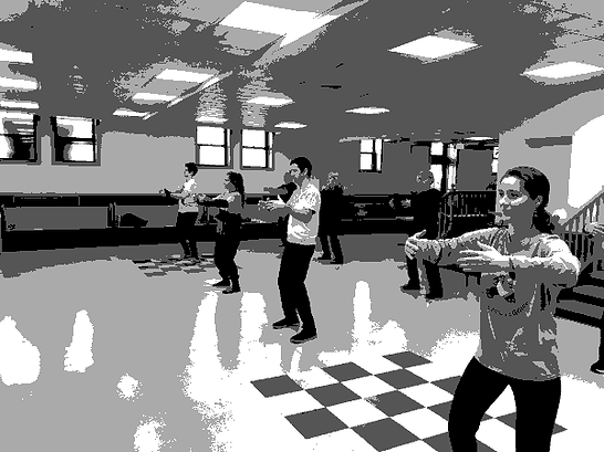 Taijiquan Students in Horse Stance Training Pose