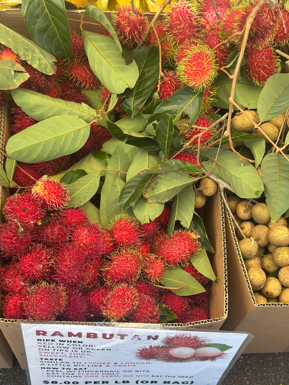 Photo Nov 20 2024, 10 54 39 AM - Copy