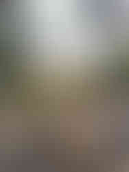 Ziedlejas Sage Cabin - Mint Water