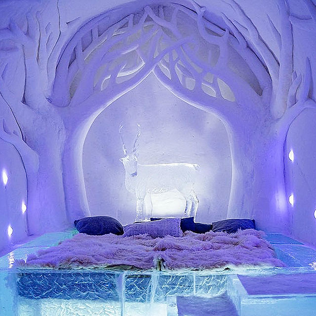 Arctic Deer Suite