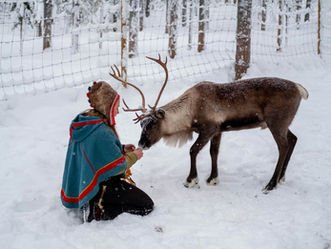  Reindeer Herding SÁMI in the SÁPMI