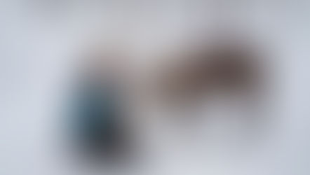  Reindeer Herding SÁMI in the SÁPMI