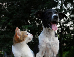 anusha-barwa-ppKcYi1CXcI-unsplash (2)