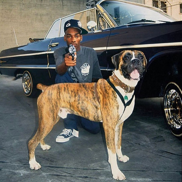 Hip Hop vs. Rap: The Soul, The Shift, and The Return to Authenticity