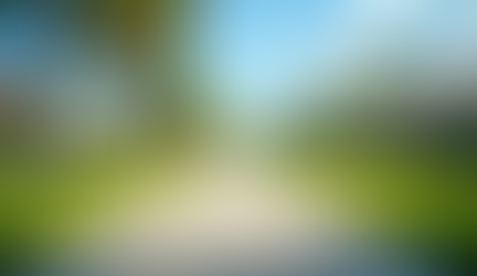 Tampa Bay Real Estate Trends June 2026 Insights and Opportunities for Buyers and Sellers