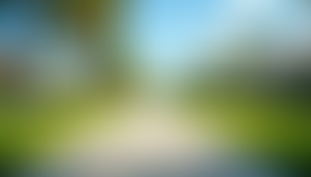 Tampa Bay Real Estate Trends June 2026 Insights and Opportunities for Buyers and Sellers