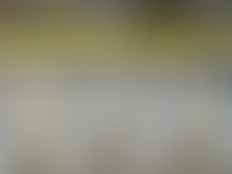 Minas confirma primeira morte por febre amarela em 2025