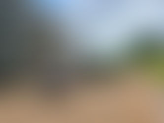 Homem é localizado sem vida dentro de carga de soja em caminhão em Carmo do Rio Claro