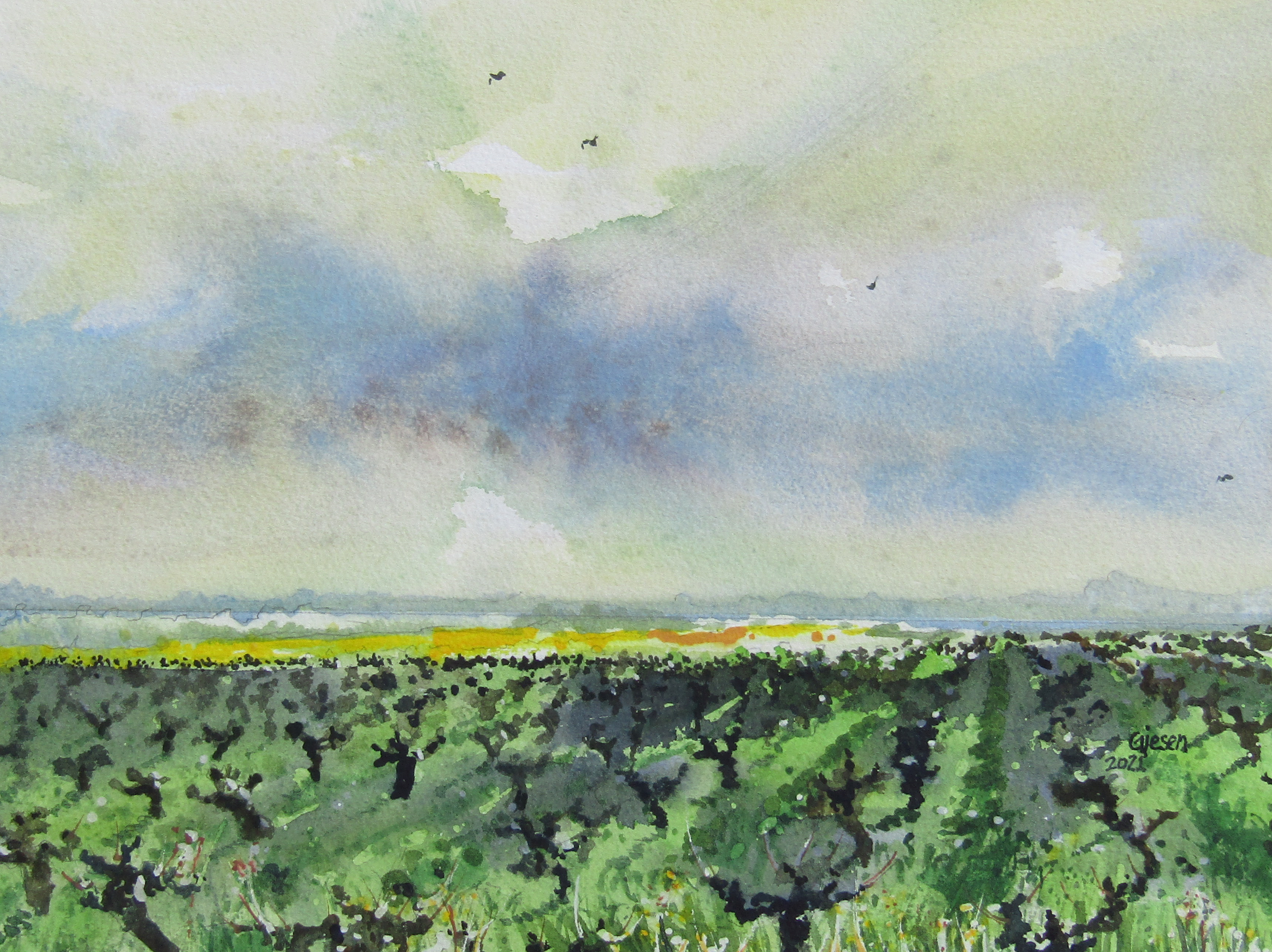 February Vineyard (2110)