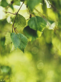 0_cb2d3_478011e9_orig