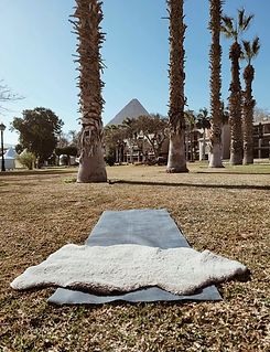 WhatsApp Image 2026-04-17 at 14.46.04 (1).jpeg