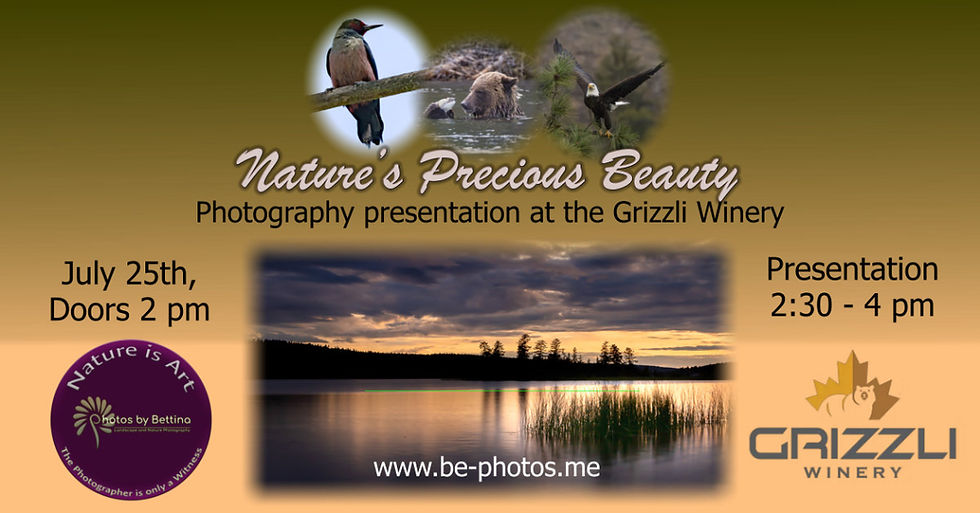 Nature's Precious Beauty Workshop