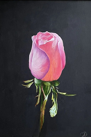 Rose on black #17.jpeg