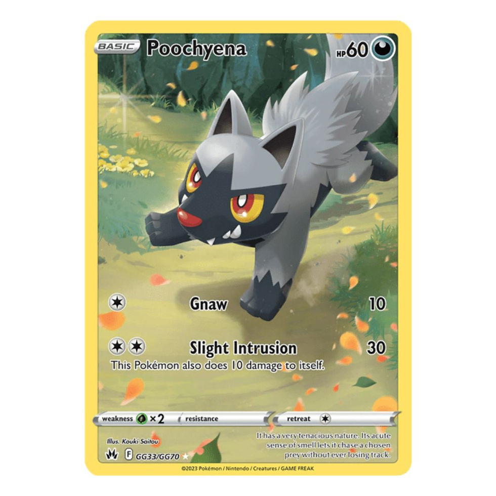 Poochyena (Ultra Rare) - Crown Zenith: Galarian Gallery