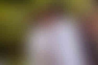 Primer beso de los recién casados al finalizar la ceremonia civil con invitados celebrando al fondo en un jardín.