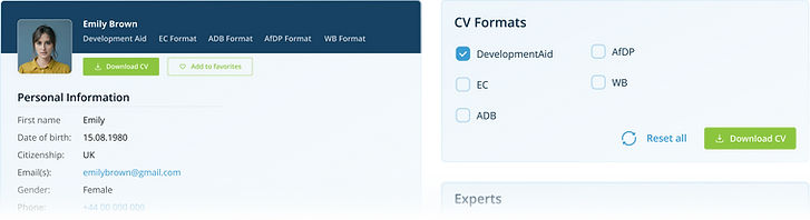 Formatos de CV