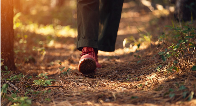 Walking with God in Creation