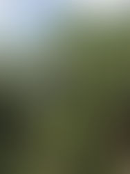 西双版納-千粁-昆明