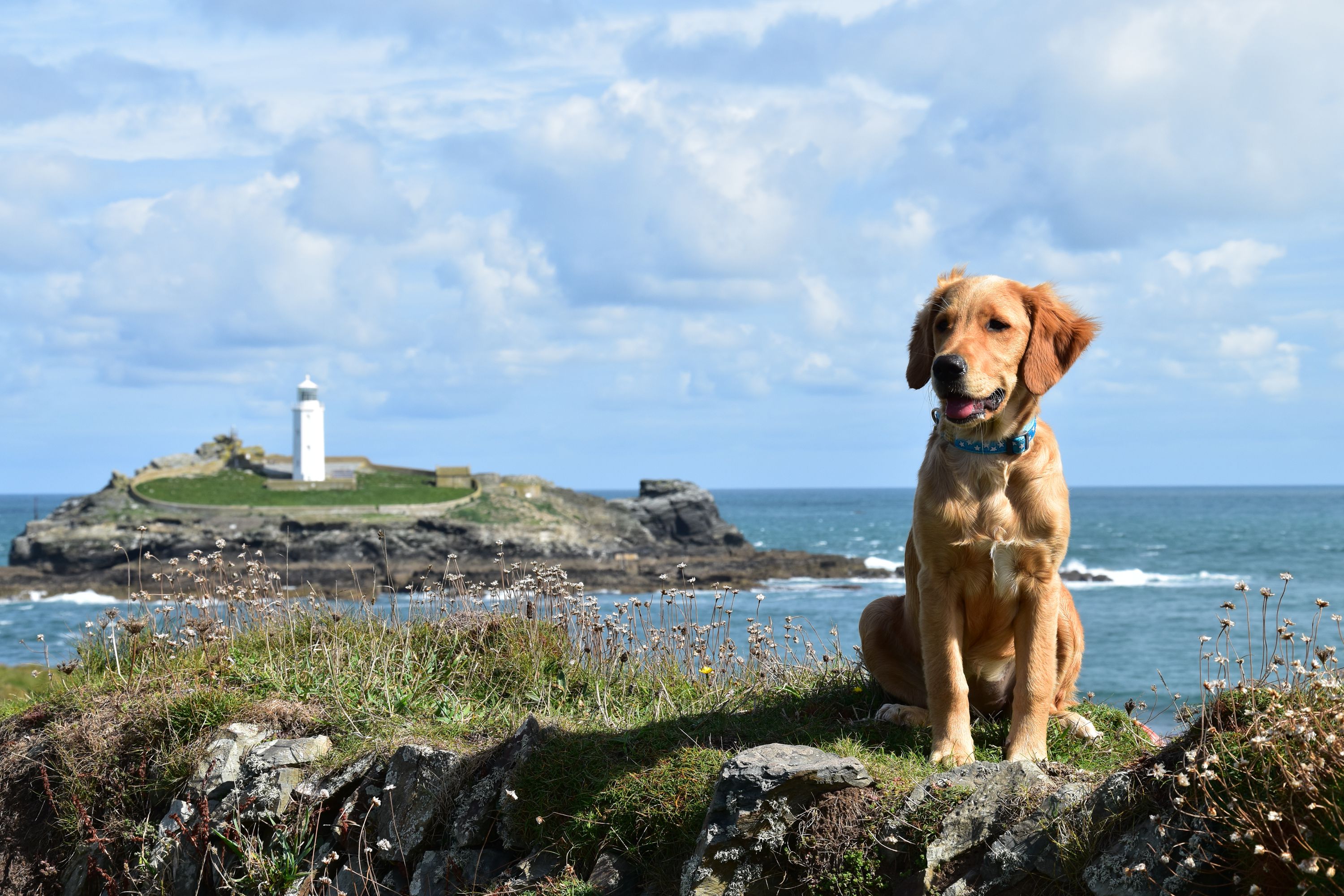 Vets Evesham de Montfort Veterinary Hospital