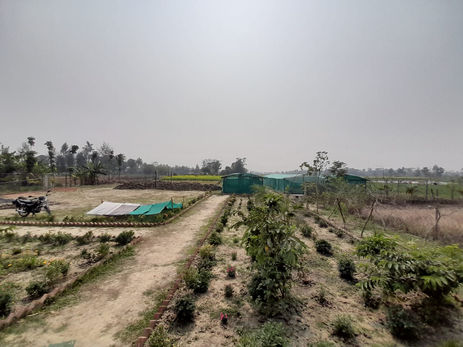 WhatsApp Image 2022-06-20 at 12.59.46 PM.jpeg