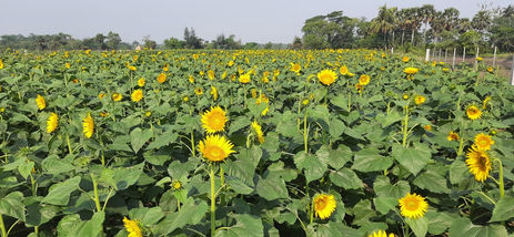 WhatsApp Image 2022-06-20 at 1.03.40 PM (2).jpeg