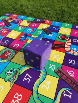 Snakes & Ladders