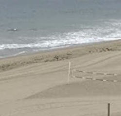 Surfboard%2520Book%2520Cover%2520from%25