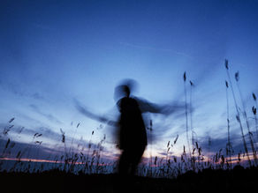 The Evolution Journey Weekly Words: Big Rock #2 - Movement