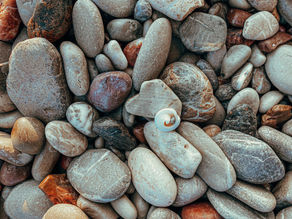 The Evolution Journey Weekly Words: The big rocks that rock, and a big K.I.S.S. from me!
