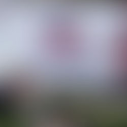 MEDC Strengthens Rural Cooperative Development Through Jom@Coop Sabah 2025