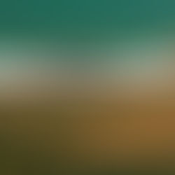 Tiket penerbangan AirBorneo mula dijual hari ini