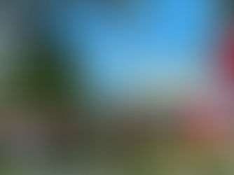 DBKK larang pasang bahan kempen di kemudahan awam