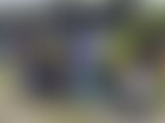 6 termasuk remaja, 16, ditahan kerana merusuh di Merotai