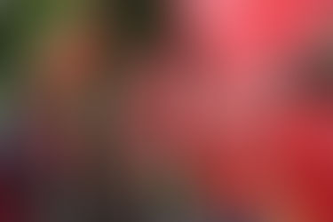 Ewon berdepan saingan sengit empat penjuru di Parlimen Penampang