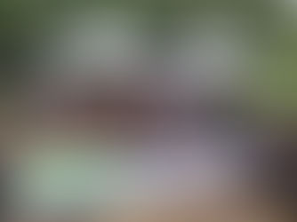 Kem Perhutanan Kali Ke-25 Kukuhkan Kemahiran Asas Perhutanan