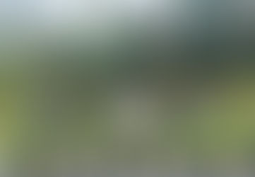 Tanaman cili bara fertigasi tarik minat golongan muda