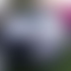 Dua maut, tiga cedera kemalangan babitkan 3 kenderaan di Jalan Apas- Balung