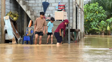 Penduduk Bimbang Ancaman Haiwan Liar, Rugi Harta Benda Rosak