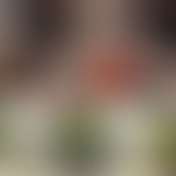 Jamawi urges JPS Sabah staff to maintain service excellence