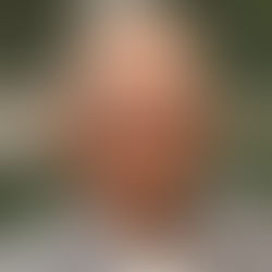 SLRAC Reviews Key State Laws to Strengthen Governance and Accountability