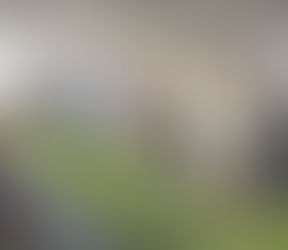 Official Opening of the Daily Market, Sunset Deck KPD Avenue