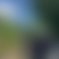 Former Karamunting Assemblyman Commends SESB’s Swift Action in Replacing Aged Power Poles