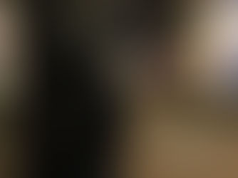 SEVERAL PEOPLE KILLED IN VIENNA ATTACKS, AT LEAST ONE ATTACKER REMAINS AT LARGE