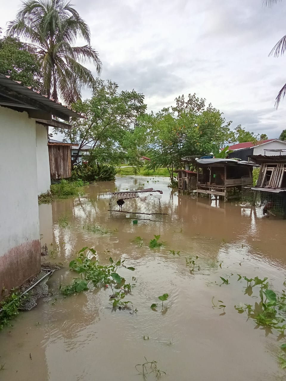 House on water
