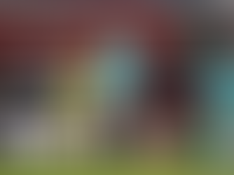 LIVERPOOL END LOSING STREAK WITH A WIN AGAINST SHEFFIELD UTD 2-0