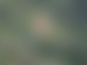 Menara Penghantaran Talian Tumbang Punca Gangguan Elektrik- Sabah Electricity