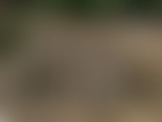 Pesawah Piasau Sambut Baik Pemasangan Pam Air, Tuntutan Ganti Rugi Tetap Diteruskan