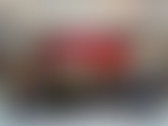 Delegasi Akademik UMS Perkasa Suara Bahasa Ibunda di Pentas Antarabangsa