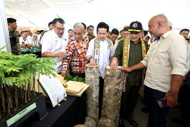 Sabah kekal status negeri karbon negatif